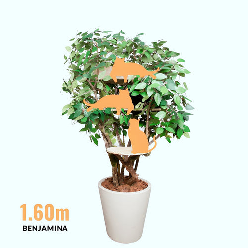 1.6 m Benjamina Cat Tree — 3 Levels