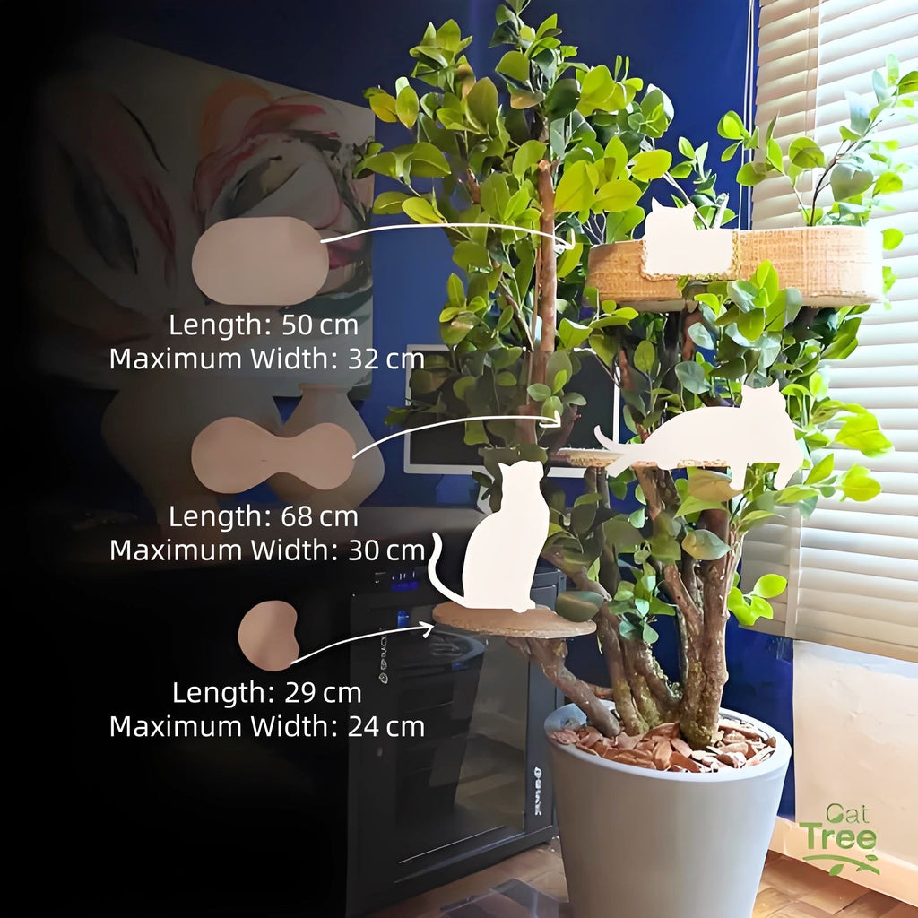 1.6m Bungalow Cat Tree | 3 Levels