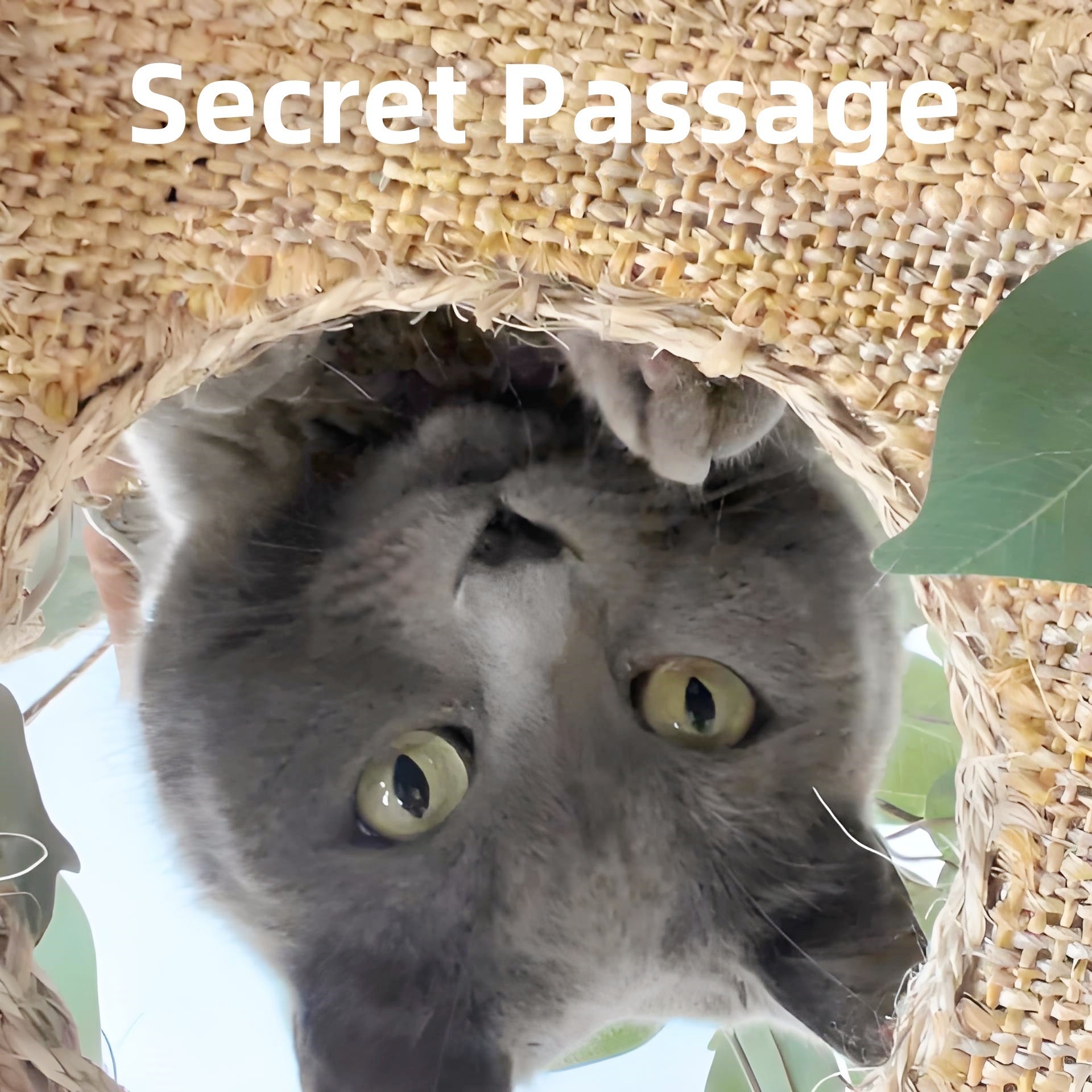 1.8 m Bungalow Cat Tree — 4-Tier Fun for Cats
